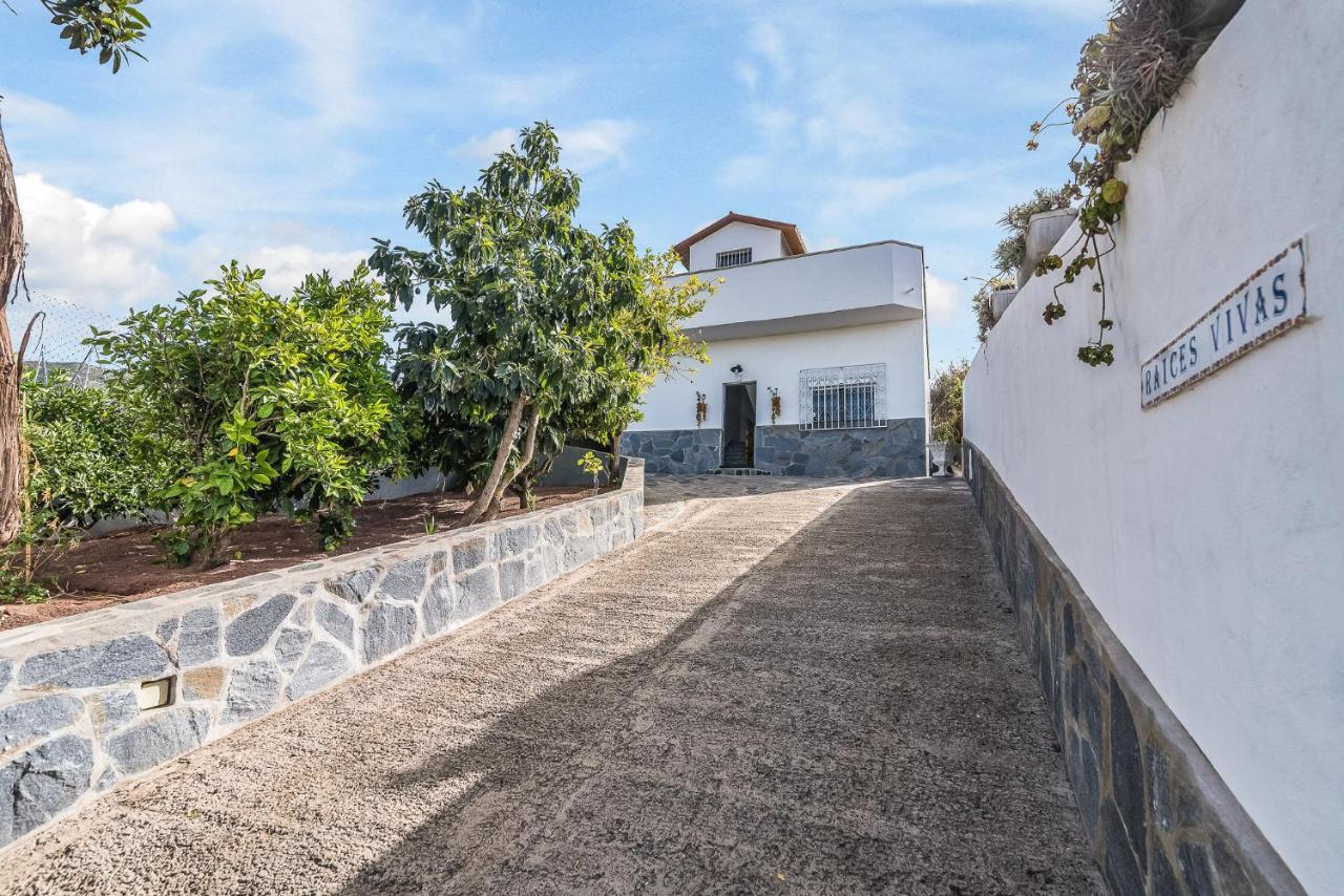 Raices Vivas Vivienda Vacacional Vega de San Mateo Extérieur photo